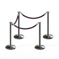 Montour Line Stanchion Post and Rope Kit Sat.Steel, 4 Flat Top 3 Purple Rope C-Kit-4-SS-FL-3-PVR-PE-PS